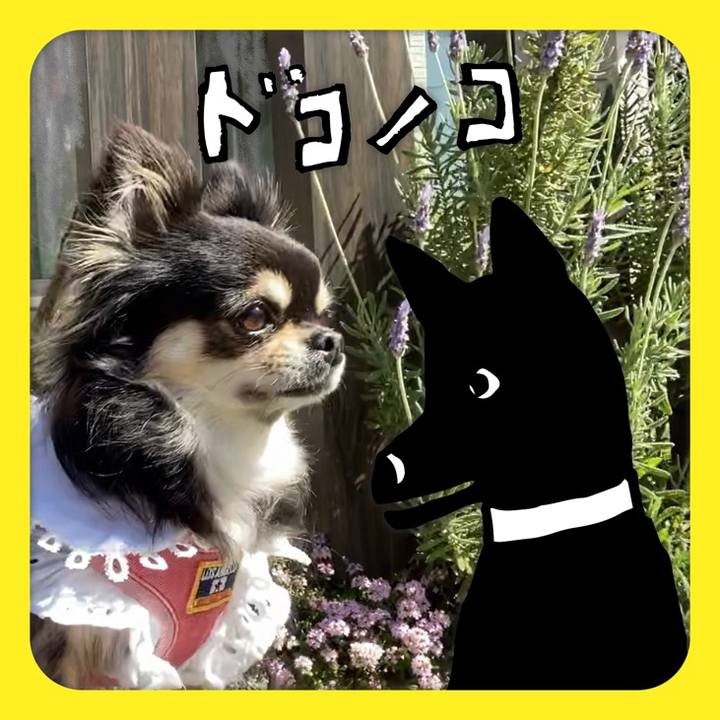 694f742f b6e3 4bcf ad3f 505abc1b110d 1622892676648