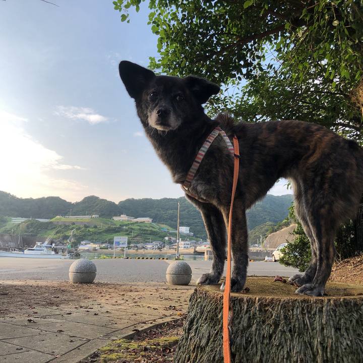 694f76a3 de3a 4721 9871 8f6ce9c27e5d 1596454116190