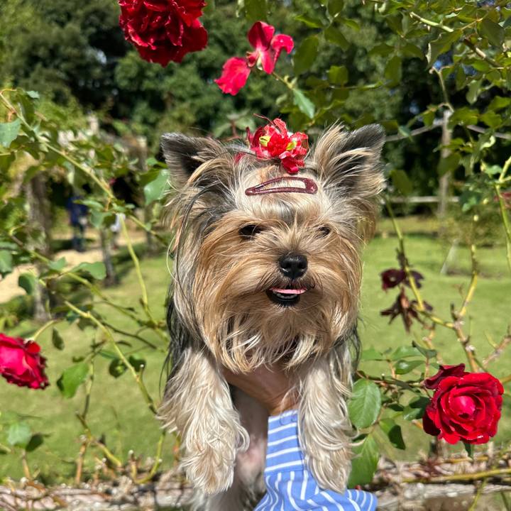 694fba98 0e90 420a be3f faa5b3e1d640 1665466471809