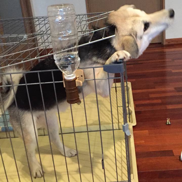 694fc17d aa25 4f47 b908 9d54ac7e70b4 1612363758153