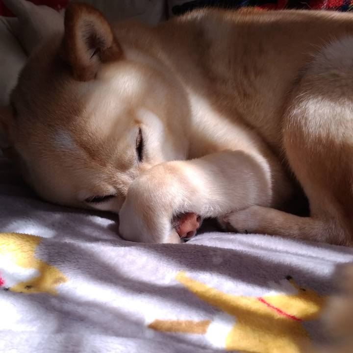 694fc41a 14c8 4c5d 91d7 90355da9550c 1584671444886