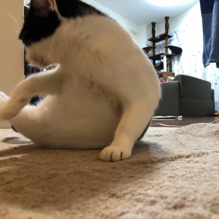 694fca11 9ff5 4554 918b 144c83041386 1517889880024