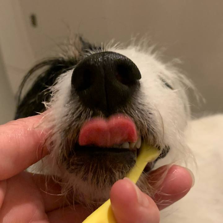 694fcdaf 2b47 489d a610 0edafca2451f 1718888211389