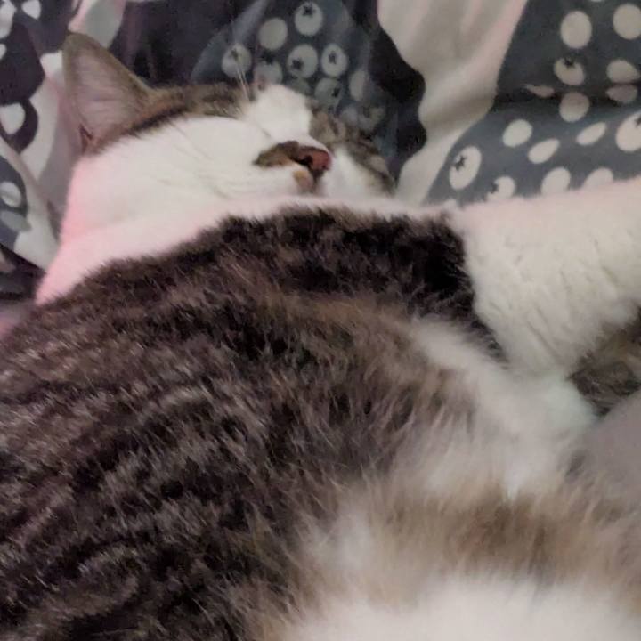 694fe10c 498e 45a5 aa0c a744415a795f 1757755567705