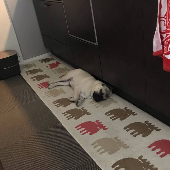 694fec05 8a0a 4b45 8b7d 8a51c0fbf39d 1540429115261