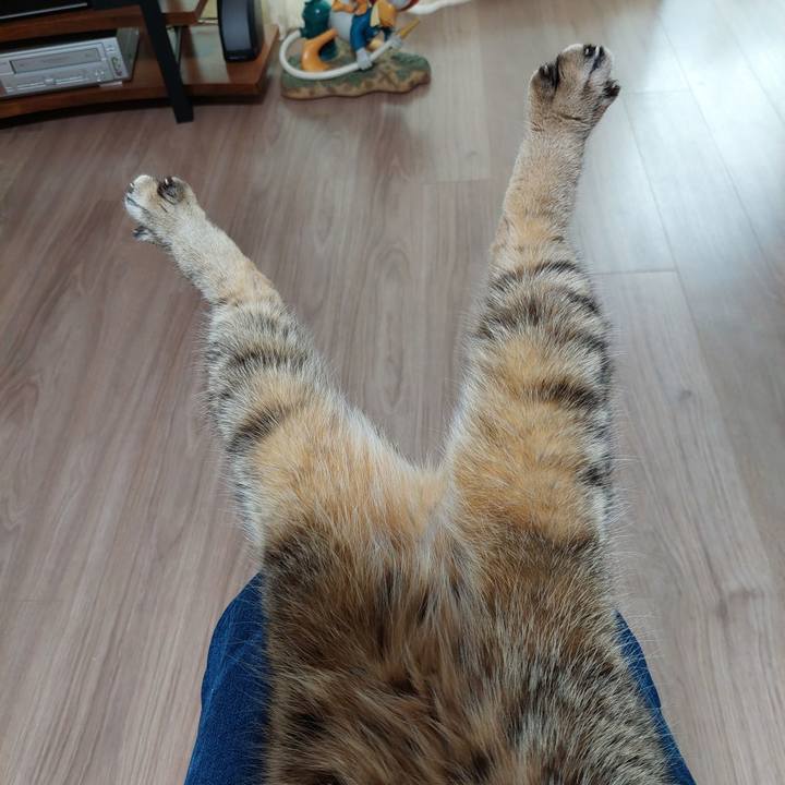 694ff988 fa92 4dc5 9f15 ceaa66178196 1732059585303