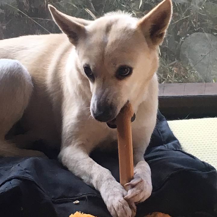 69507f06 1dad 4a54 b09b d1583f1b5e08 1519735409103