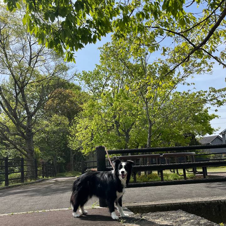 6950b8f5 3c26 4ae6 9d19 1833a56ddc1c 1777108148768