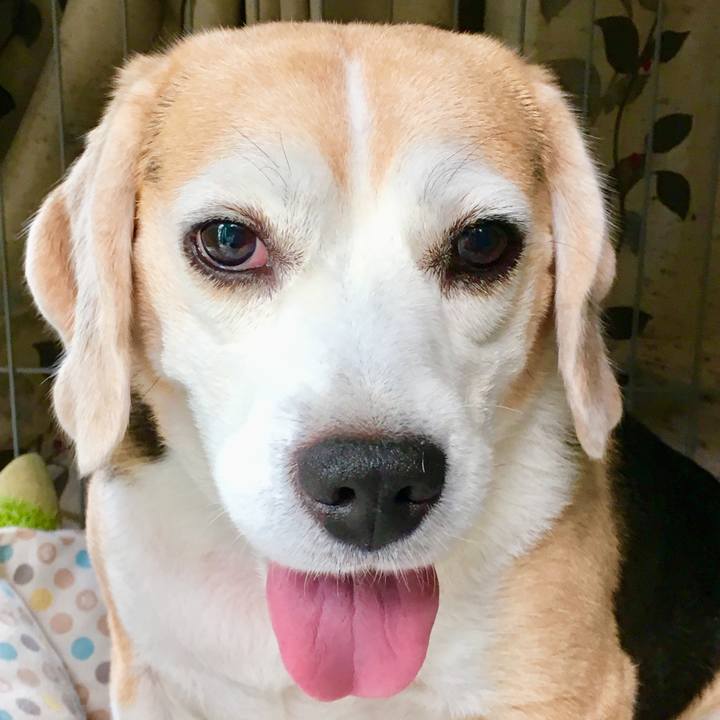 6950c0ba 0f6a 46ef a37f 1b541d5b04fc 1536636674151