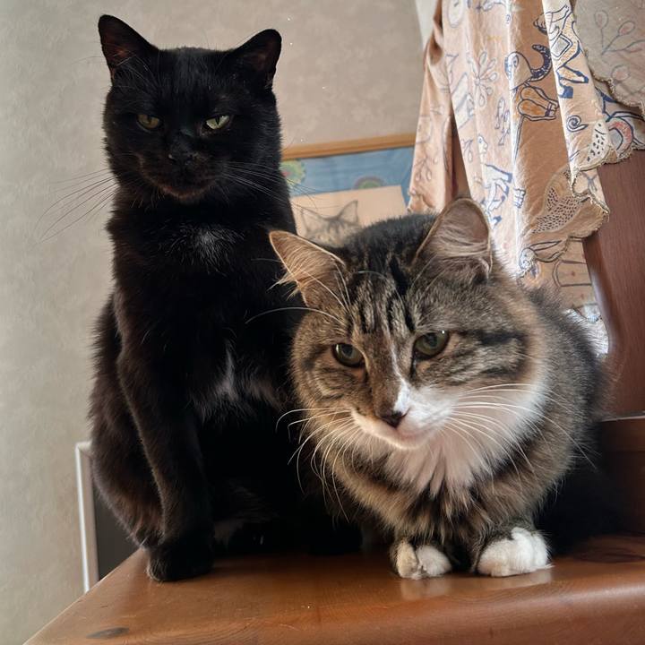 695124b9 1a01 48f7 9d91 64ed437cacd6 1731464265222