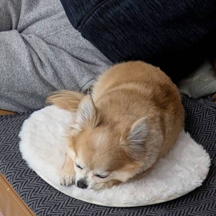 695125b3 3559 41fe b0a8 8a38232f8fe5 1772893575547