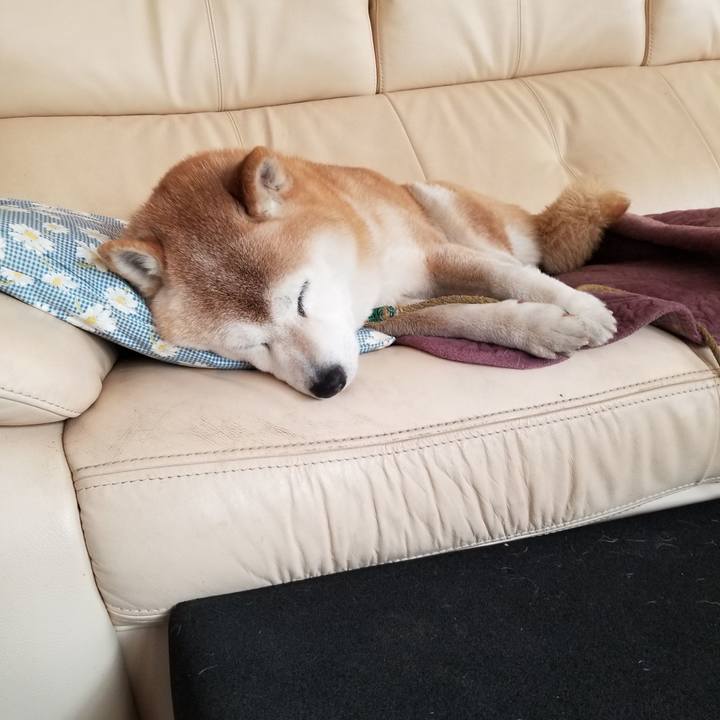 6951cb3d aa6b 41d3 9559 9d3f9d394153 1710549109914