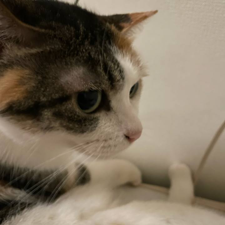 6951ed7e c9e8 48ad 891a 7c2ac9ee33c8 1679844741282