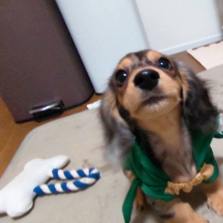 6951fae5 40da 4f5f b321 0c0e95ecad16 1697841075762