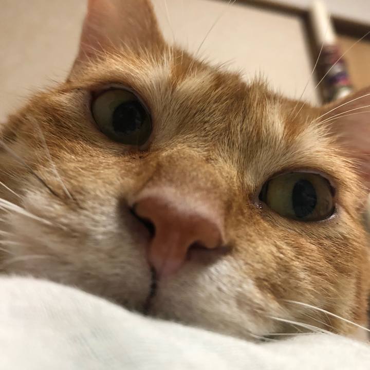 6952211a 2765 4940 baa0 55aba9e95721 1633783494888