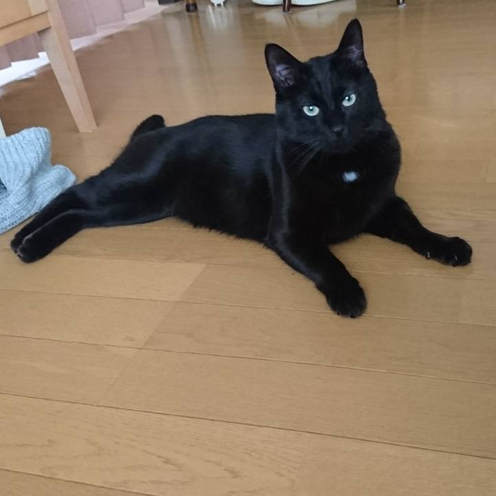 695237f8 e1a2 4693 8795 f4704ed8d1e6 1514947383292