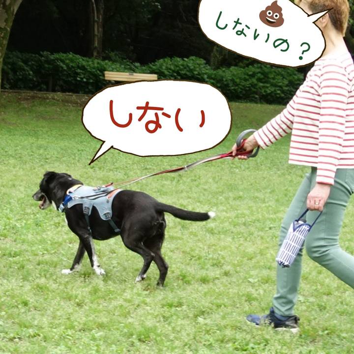 69523db4 730a 49d1 8989 9891c93f4665 1747614906860