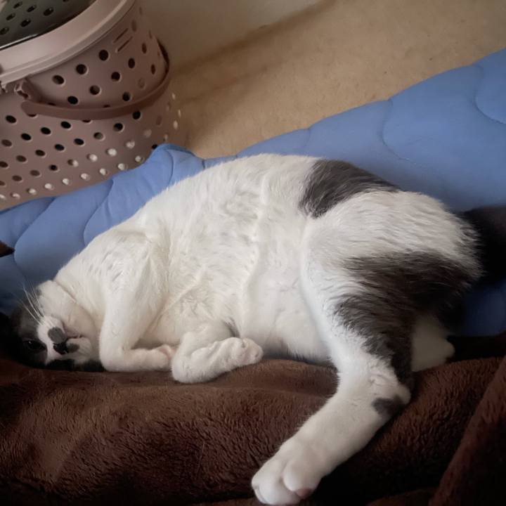 695273a9 3153 482f ae58 c8acba8279f4 1629844376705