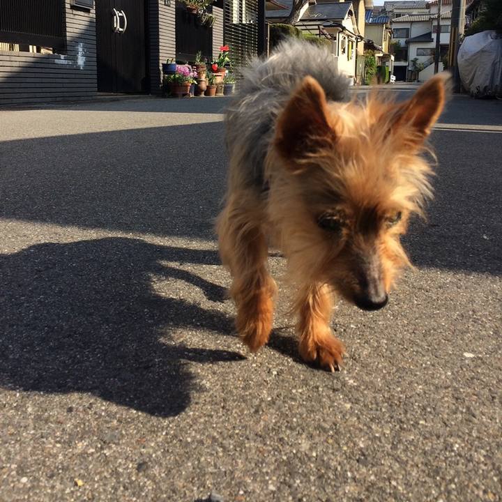 6952966a d1db 45a2 92ac f940883ac2ad 1641780847891