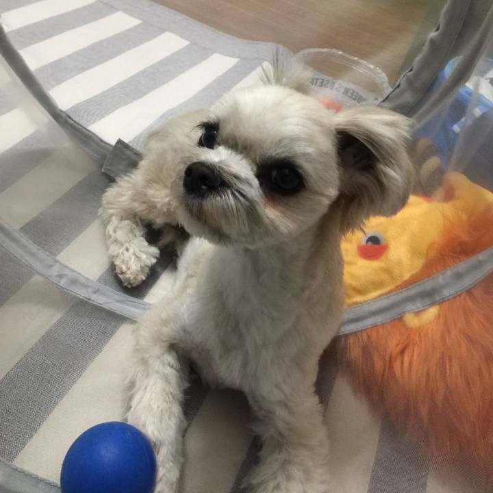 6952aaf7 c3b7 40f0 9a09 2185a37b38be 1520420208091