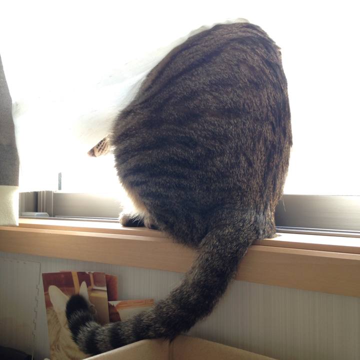 6952e75a 0832 4138 8bca 909457a12f5e 1509963349514