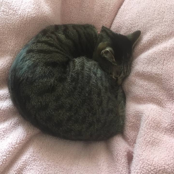 695345ec 8d1f 4c1a a1e2 e4003f9b5b80 1519286030978