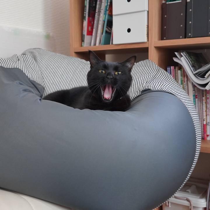 69534717 dc77 488a bdfb 53facd2fe351 1610804274142