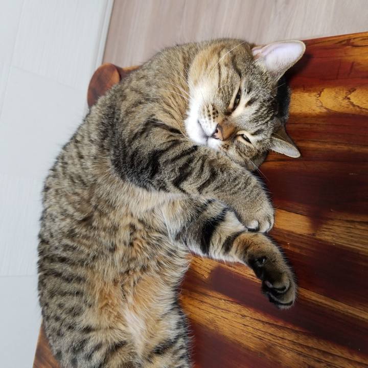 69535191 db50 434e a9f6 4b17eb54db43 1573508774844