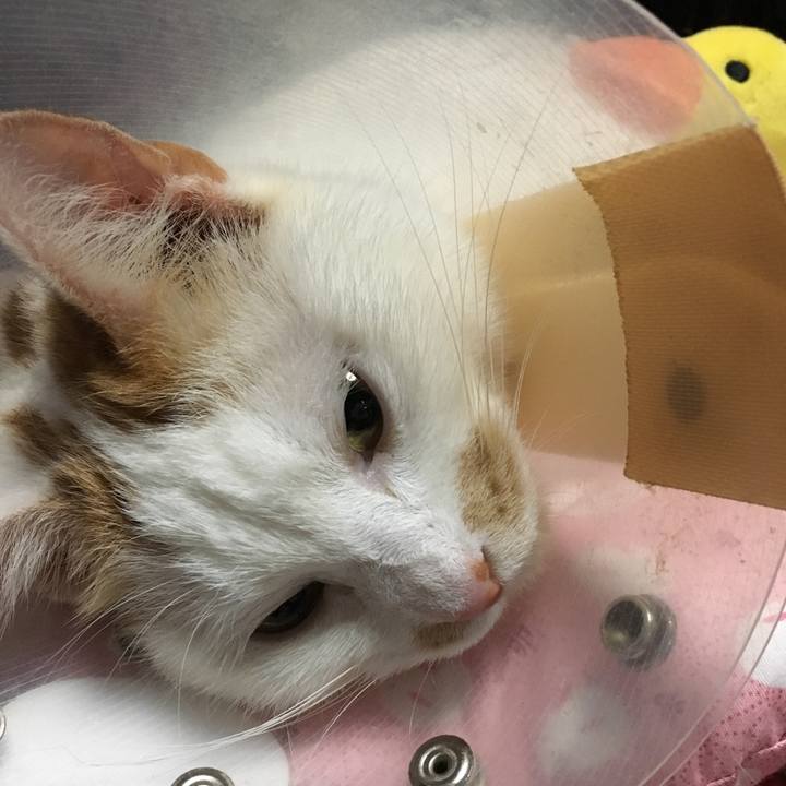 69547d49 93ed 4f9a b23d 24cd073ae5e7 1549721003488