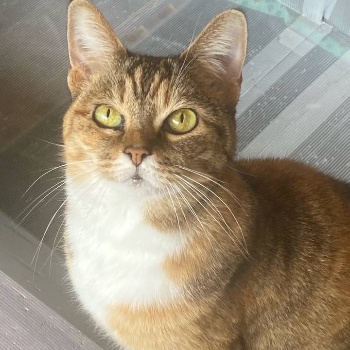 6954c8fc 4205 4a46 bbdb b84338f57200 1649382360271