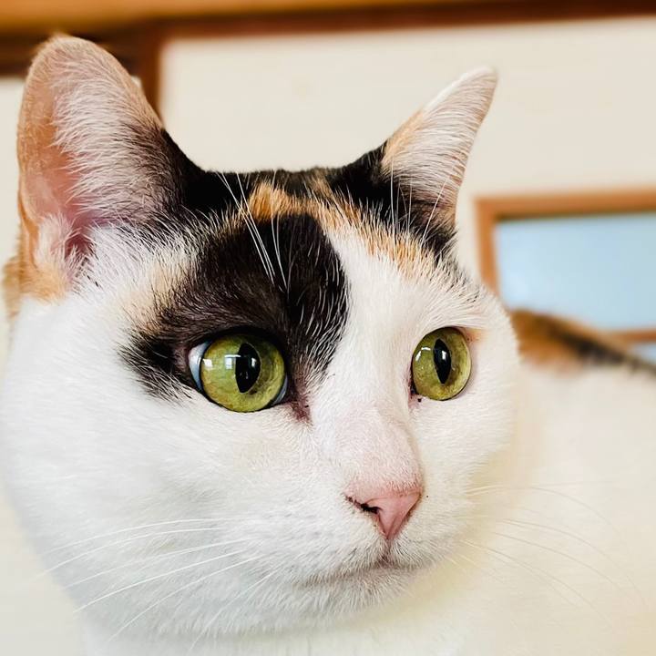 6954ffe1 0a6a 4fbf be23 6b8c49f8ad28 1609556720724