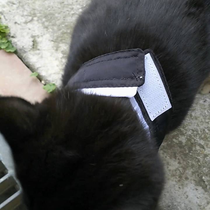 695501dc a5bd 45cb 8f19 ab43d9781958 1556008031594