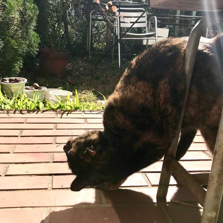 69551d01 6cab 44d2 b58a 49970c7a2c55 1518145385756