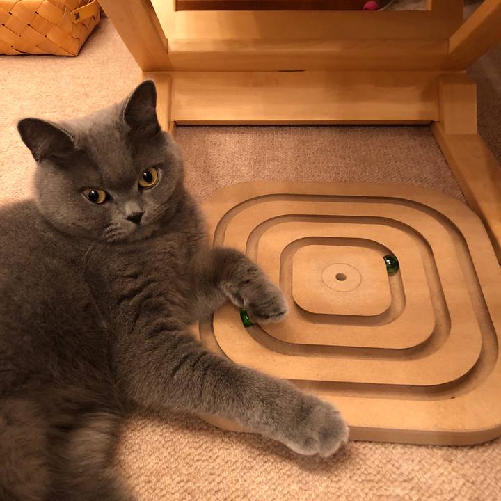 69556753 88cf 49ac b0e5 4c4cc35f81c8 1519662809534