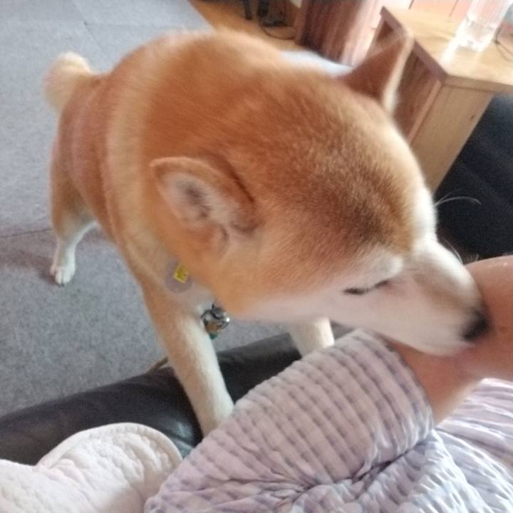 69556e41 2ae0 4cc5 b5f5 a66d2577304d 1655879588985