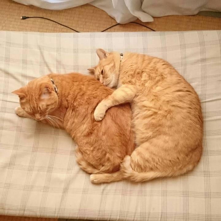 6955841d 97c6 4ce7 9f22 77f64d6b2546 1530285013187