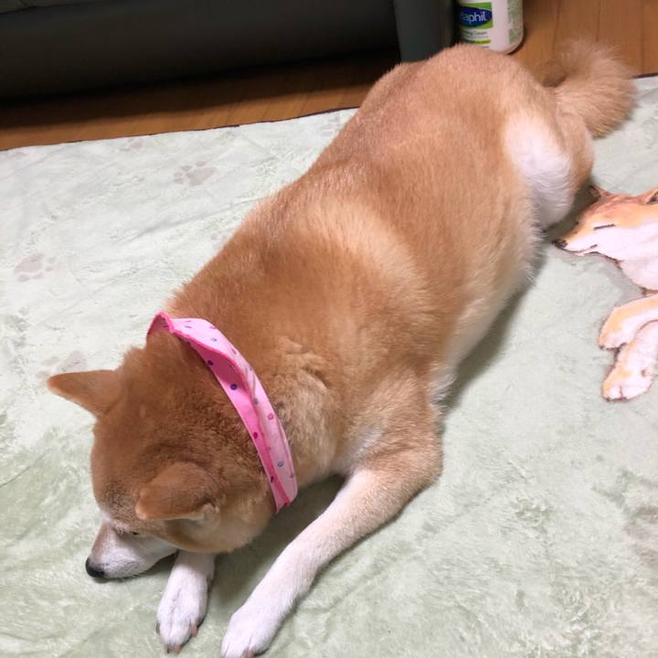 6955ace7 1a16 4502 9af2 660b59b40dd7 1605016595409