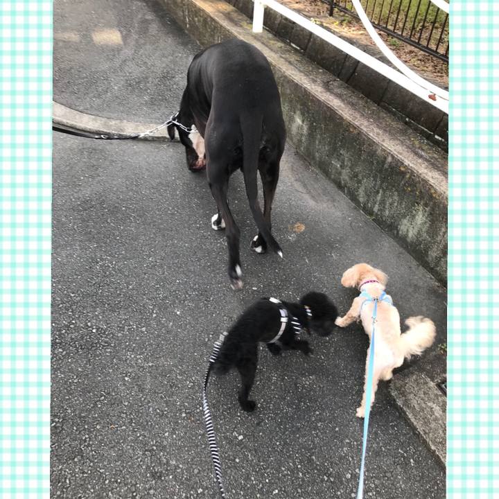 6955ad1a 3de3 4d24 864f af1da27a2559 1537743698321