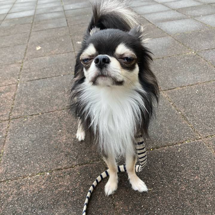 6955b4de 6f93 42ab b475 a44971e91b24 1617511975470