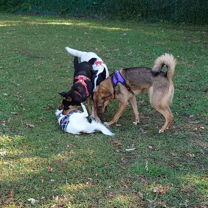 6955b67d d4ed 4fff 98b7 7f7632081c93 1696644101897