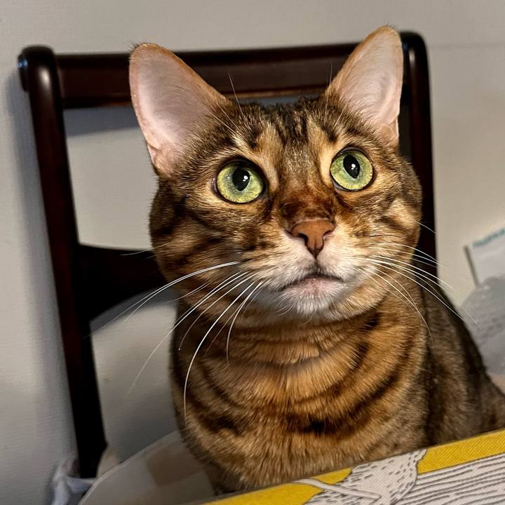 6955c8d6 6a85 4e83 933b 64f5ba0318c7 1653968634001