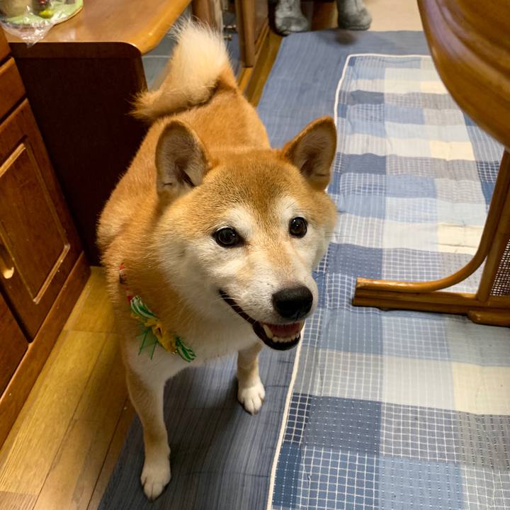 6955e94d 5dc9 4b83 a56c e259a18a0abb 1565866774377