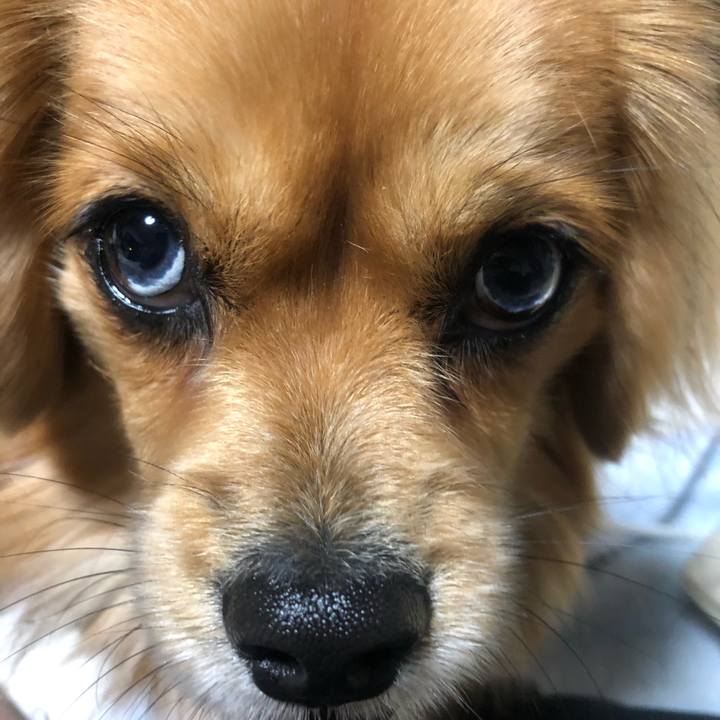 6955f050 5f8c 453a a444 6a0b816f82f1 1547385440382