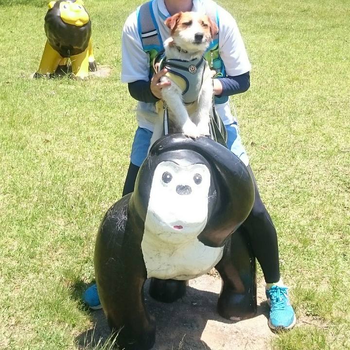 69560160 6eb6 4f1c bdc2 fe6eaa0e1864 1559999949513