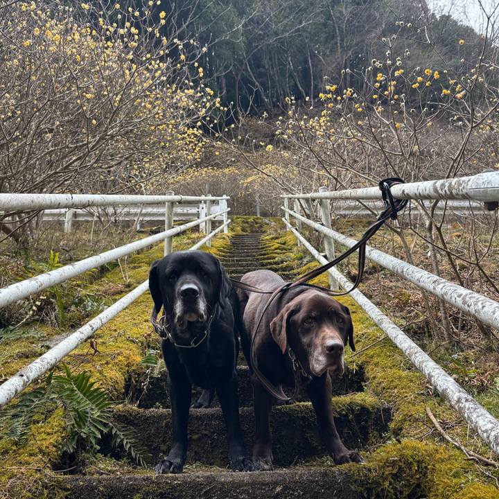 69560206 d2fd 425f 8eb9 1f2e97cbf797 1773487037424