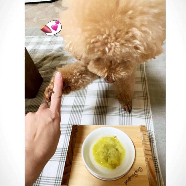 6956503a 048c 4a03 9a2e 0468f6e9962b 1558159412469