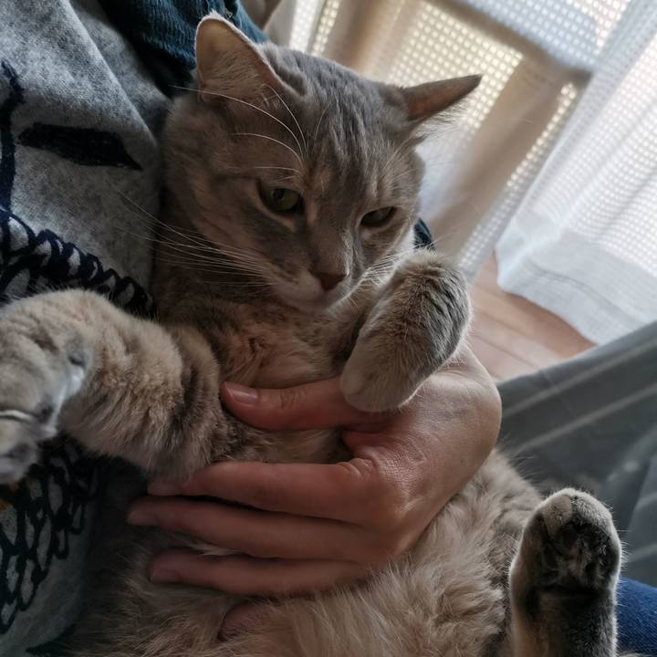 69565517 aa5f 4433 86b6 bd5d424ed245 1604375712275