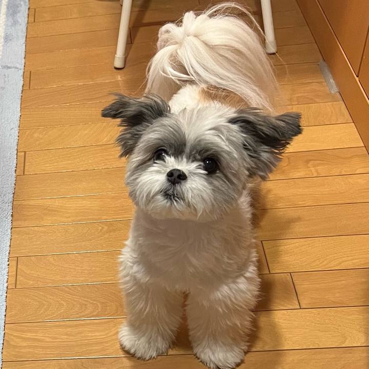 69566541 b89e 451b 937b 19aa659c193b 1687942095736