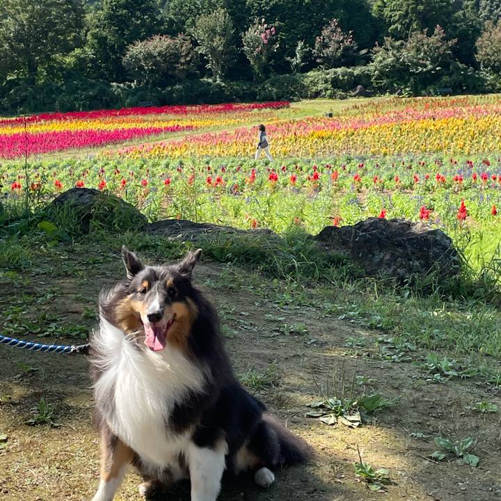 69568068 852f 447d 87ae f1bb9915a367 1663332525045