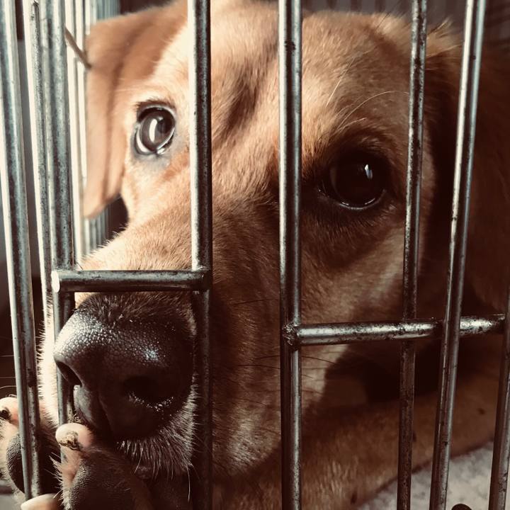 695696cc 6ef8 4927 9195 71f71ff5cac2 1511522389508